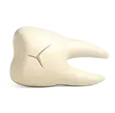 Knocked-out Tooth